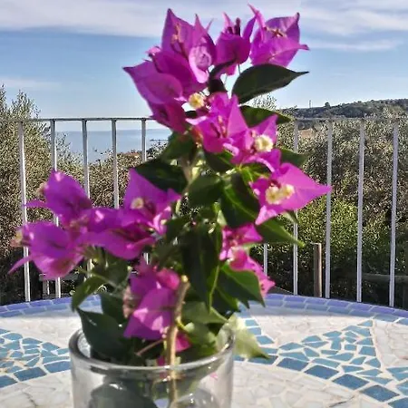 La Collina Delle Ginestre Casa Di Charme Casa vacanze